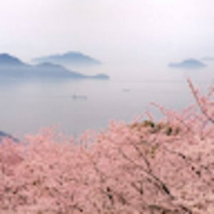 Meet your Posher, Jade